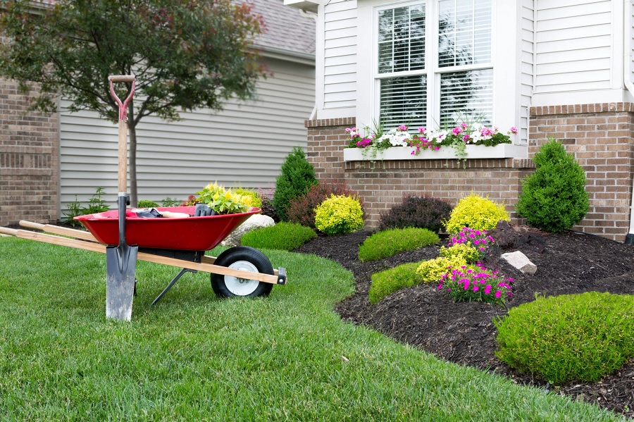 Improve Curb Appeal with Front Yard Landscaping