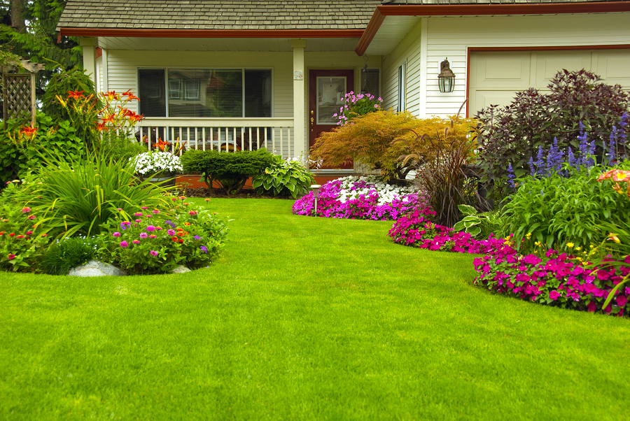 Tips For Beautifying Your Backyard