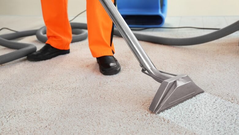Carpet Nurse – Care for your carpet with ease