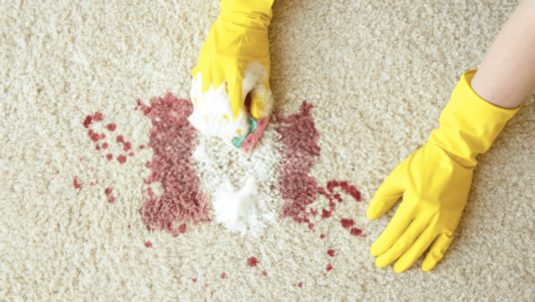 Why do you need to hire a professional to clean your carpet stains?