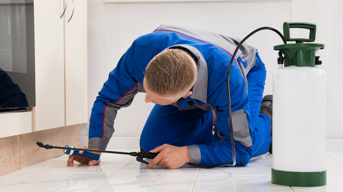 Why Do You Need To Hire A Pest Control Company For Fall?