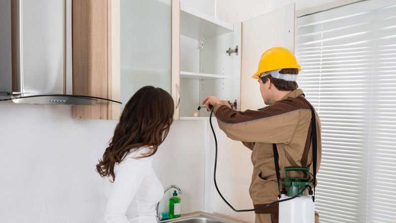 Battersea Pest Control:  Benefits You Didn’t Know About