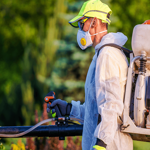 Seasonal Carpet Flea Control: Adapting Your Strategy Throughout The Year