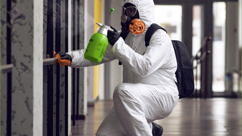 Mastering Mold Remediation: Key Tips For Effective Services