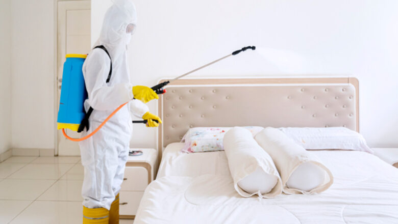 Why DIY Hacks Fail to Get Rid of Bed Bugs in HDB Flats