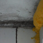 Why Mould Keeps Returning to Your Ceiling