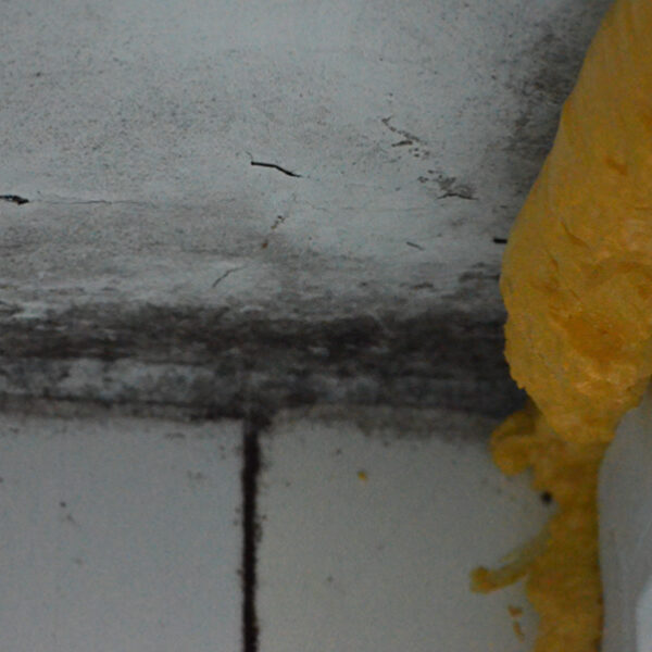 Why Mould Keeps Returning to Your Ceiling