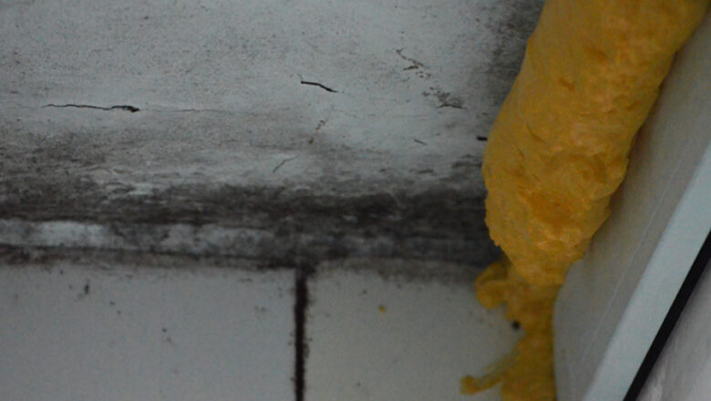 Why Mould Keeps Returning to Your Ceiling