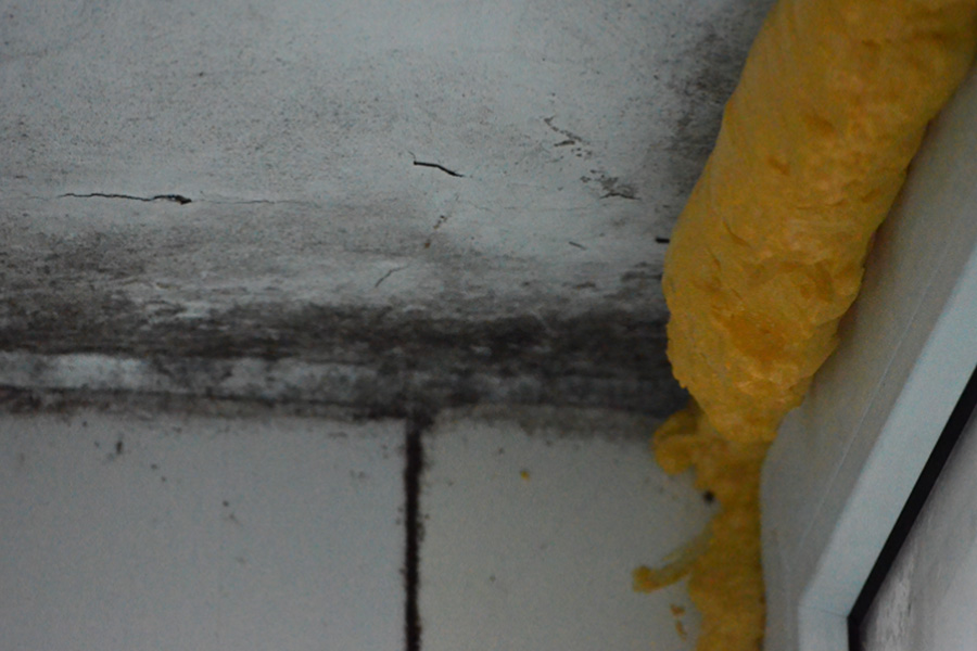 Why Mould Keeps Returning to Your Ceiling