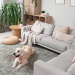 What to Know Before Choosing Carpet for High-Traffic Rooms