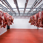 Premier China Construction Services for Large Scale Produce Cold Storage Solutions