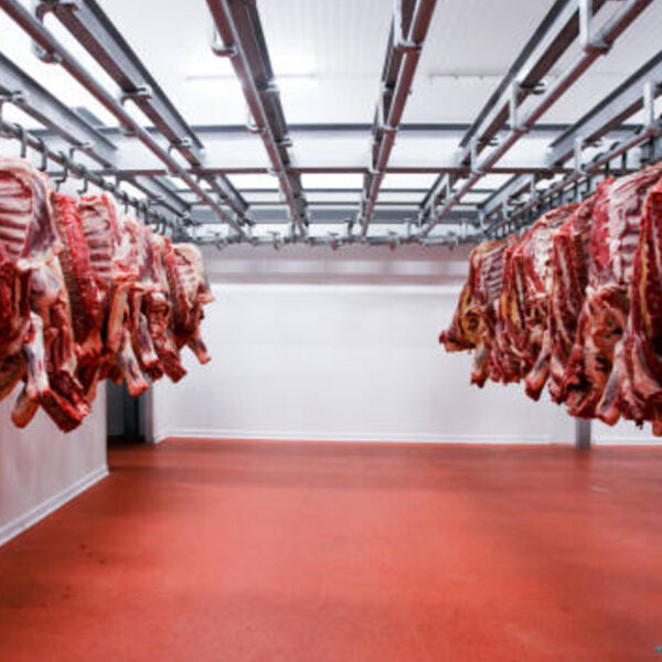 Premier China Construction Services for Large Scale Produce Cold Storage Solutions