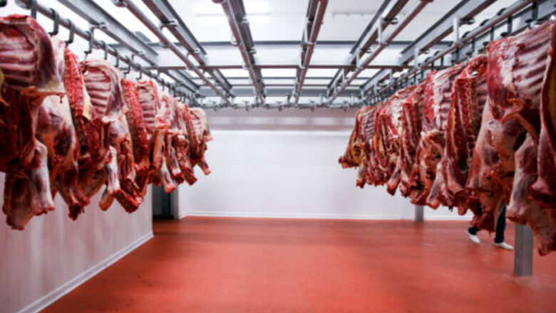 Premier China Construction Services for Large Scale Produce Cold Storage Solutions