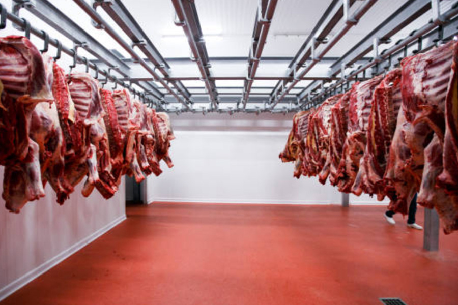 Premier China Construction Services for Large Scale Produce Cold Storage Solutions
